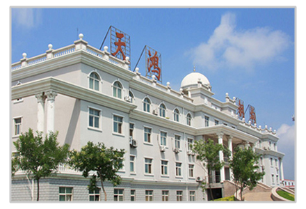 溫州天鴻鋼結構公司